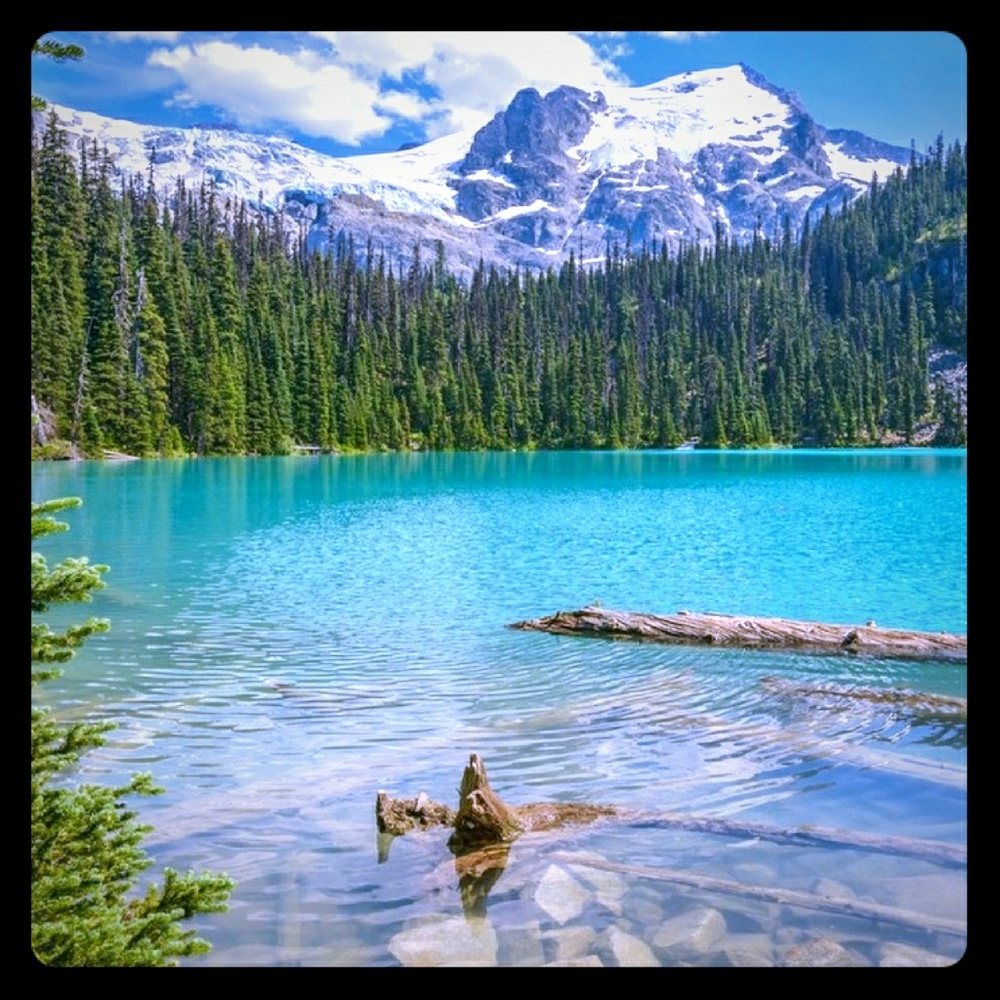 Meet your Posher, Dawn